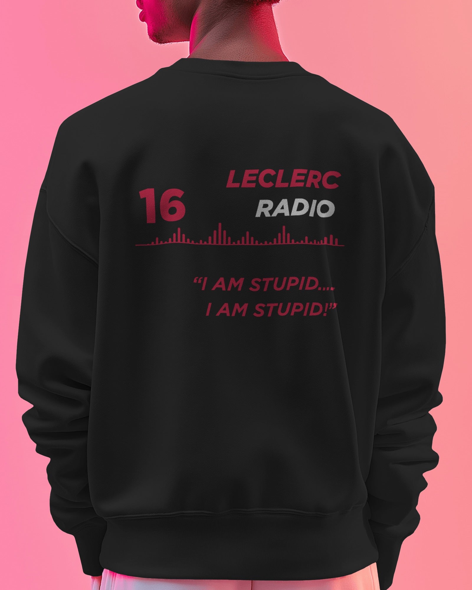 Charles Leclerc "I AM STUPID" – Unisex Premium Sweatshirt